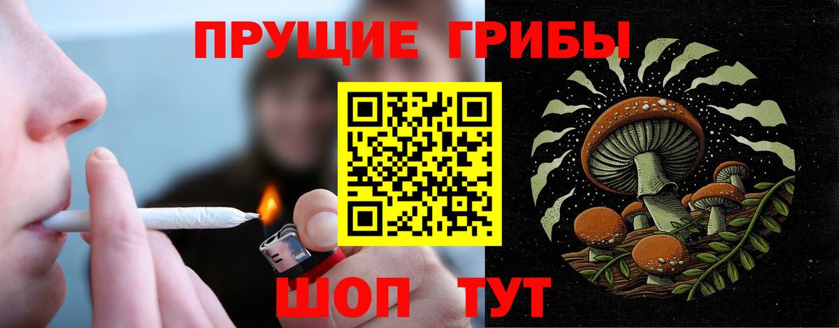 Ефремов  Галлюциногенные грибы прущие грибы  Вход с VPN 